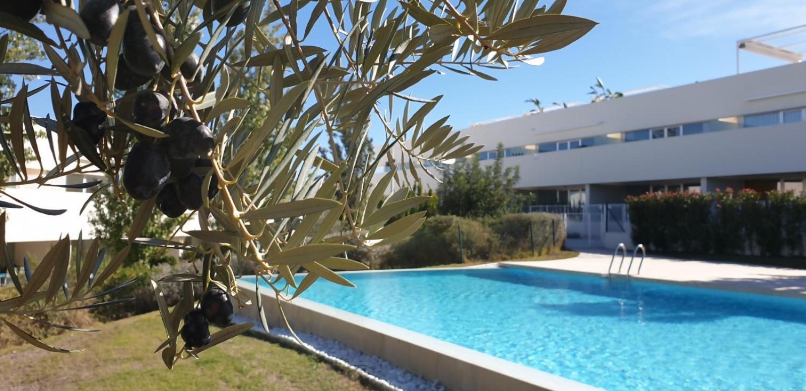 Impresionante Apartamento Con Vistas A La Piscina Apartment Alicante Exterior photo